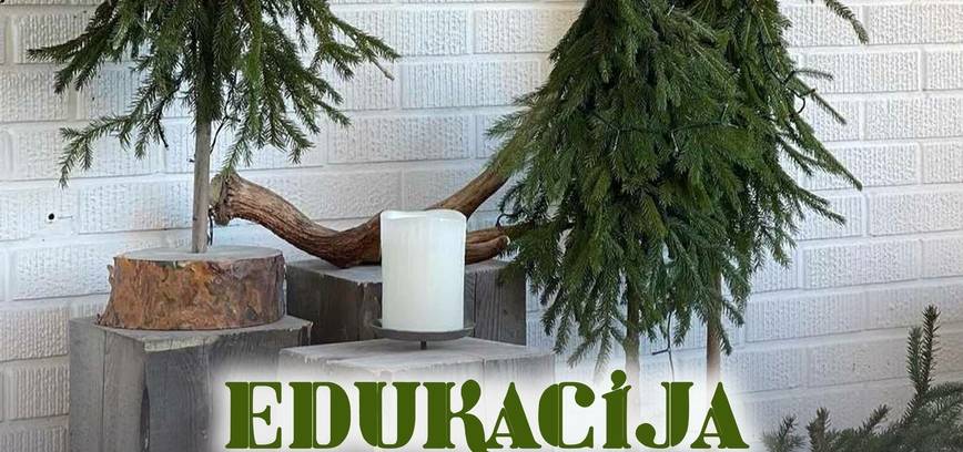 Edukacija „Kalėdų belaukiant“