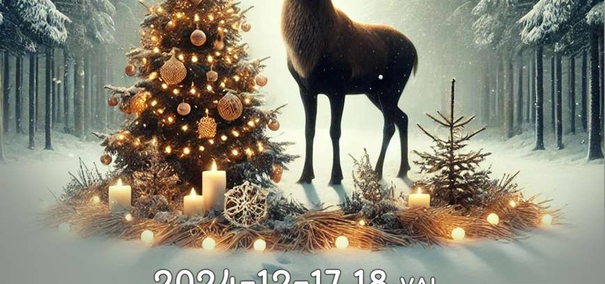 Concert and Christmas tree lighting in Skapiški