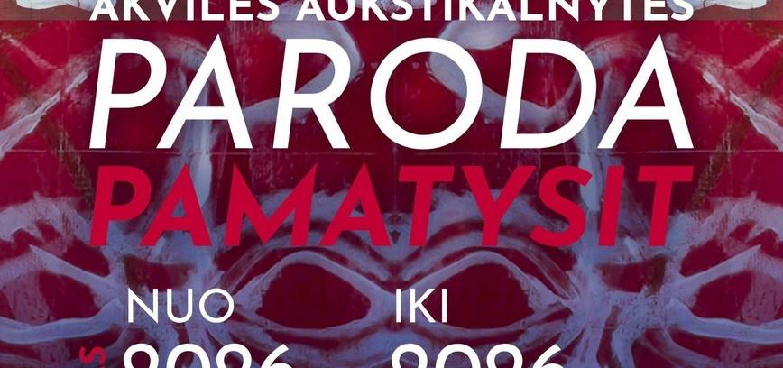  Akvilės Aukštikalnytės autorinė meno paroda „Pamatysit“ atidarymas