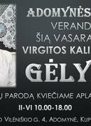 Virgitas Kalinovienes griezto papīra izstāde "Ziedi"