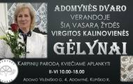 VIRGITA_001.jpg
