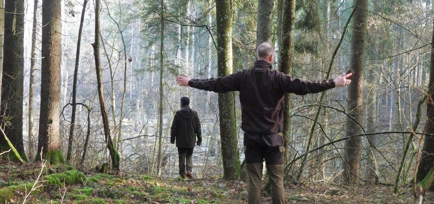 Forest therapy experiential session in Šimoniai Forest