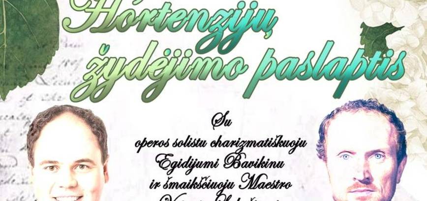 „Vakarienė baltai: Hortenzijų žydėjimo paslaptis“