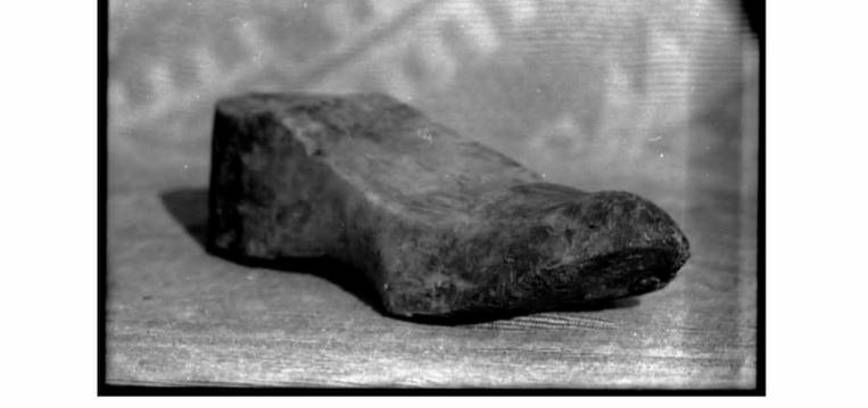 Ginto Kavoliūno fotografijų paroda „Šaknys“