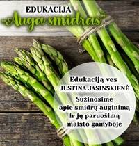 Education "Auga Smidras"