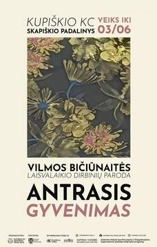 Vilmos Bičiūnaitės laisvalaikio dirbinių paroda „Antrasis gyvenimas“