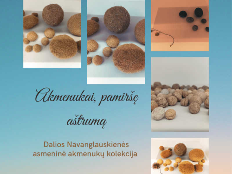 Dalios Navanglauskienės paroda „Akmenukai pamiršę aštrumą“