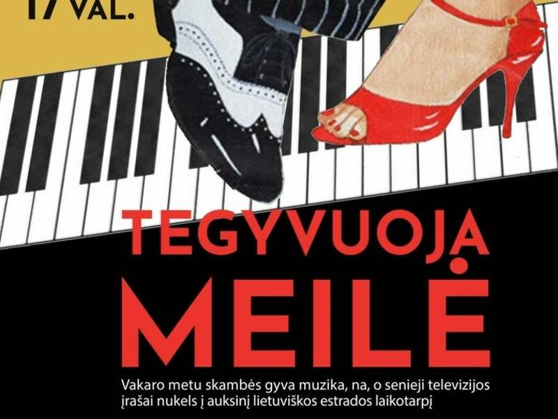 Šokių vakaras „Tegyvuoja meilė” |