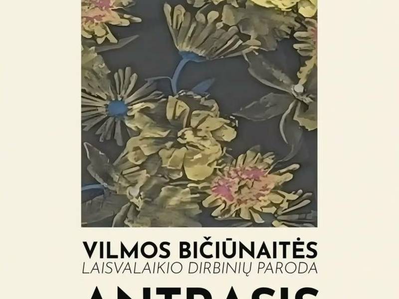 Vilmos Bičiūnaitės laisvalaikio dirbinių paroda „Antrasis gyvenimas“