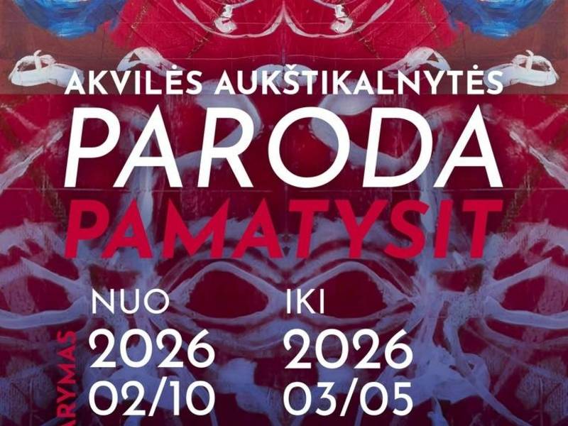  Akvilės Aukštikalnytės autorinė meno paroda „Pamatysit“