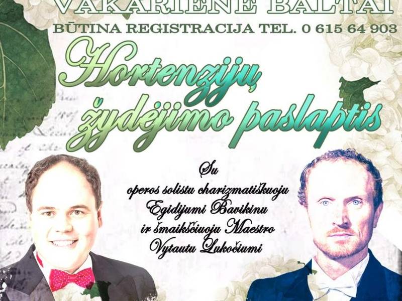 „Vakarienė baltai: Hortenzijų žydėjimo paslaptis“