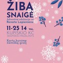 Adventinė edukacija „Žiba snaigė“ su Renata Lapieniene