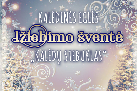 Kalėdinės eglės įžiebimo šventė „Kalėdų stebuklas“