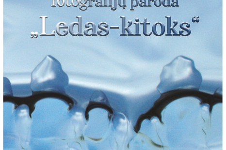Gintauto Grigo fotografijų paroda „Ledas – kitoks“