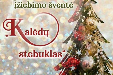 Kalėdinės eglės įžiebimo šventė „Kalėdų stebuklas“ Adomynės dvaro kieme
