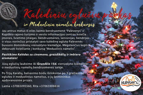 Kalėdinių eglučių parkas ir meduolinių namelių konkursas