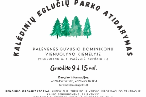 Kalėdinių eglučių parko atidarymas Palėvenės buvusio dominikonų vienuolyno kiemelyje