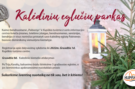 Kalėdinių eglučių parkas Palėvenės dominikonų vienuolyno kiemelyje