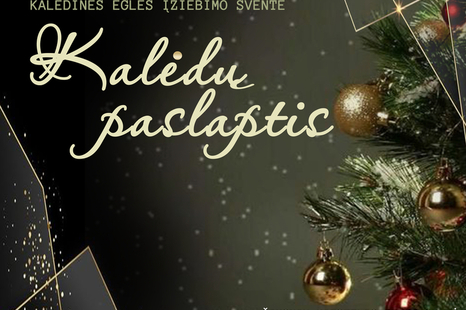 Kalėdinės eglės įžiebimo šventė „Kalėdų paslaptis“