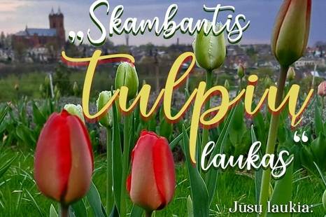 Koncertas „Skambantis tulpių laukas“