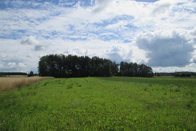 Bugailiskiai mound