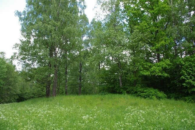 Likalaukių piliakalnis (Astravų piliakalnis, Sypsala)