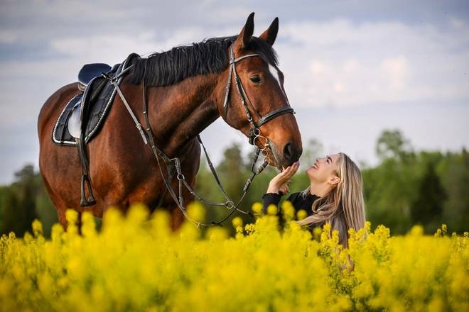 Horseback riding "Sandrija"