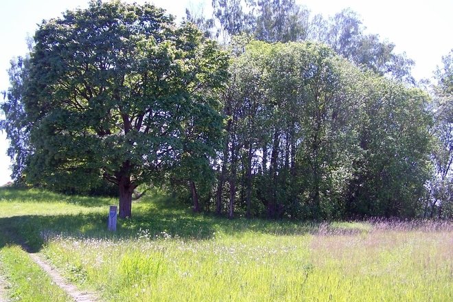 Vaduvas pilskalns