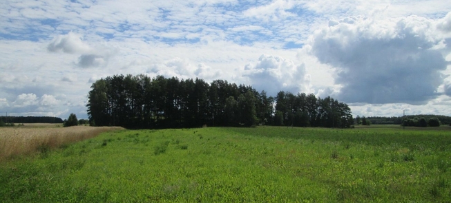 Bugailiskiai mound
