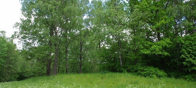 Likalaukių piliakalnis (Astravų piliakalnis, Sypsala)