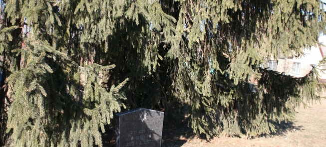 Pirmosios žydų kapinės 