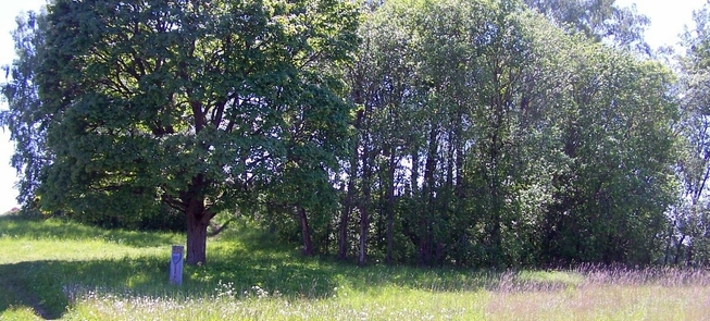 Vaduvas pilskalns